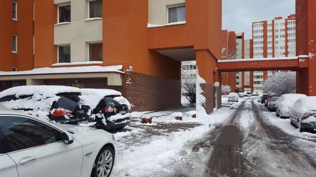 Апартаменты Neringa apartments Клайпеда-54